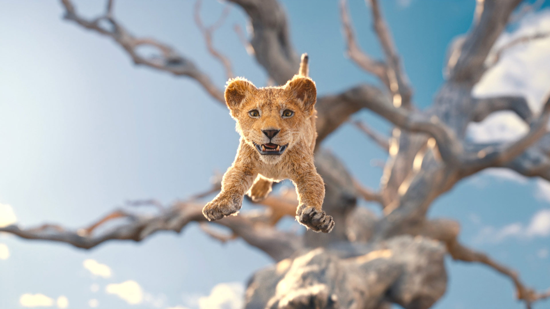 تصویر جدید فیلم Mufasa: The Lion King منتشر شد